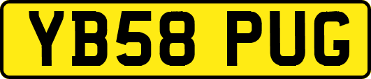 YB58PUG