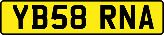 YB58RNA