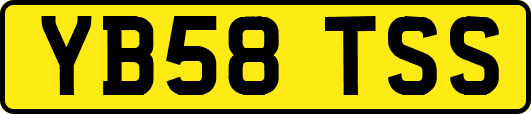YB58TSS