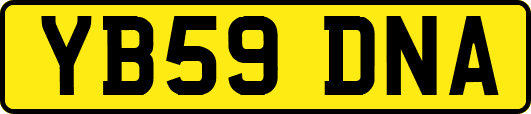 YB59DNA