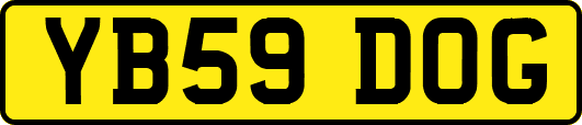 YB59DOG