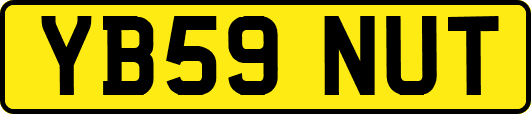 YB59NUT