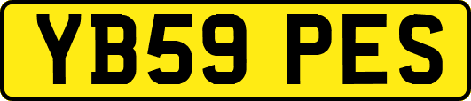 YB59PES