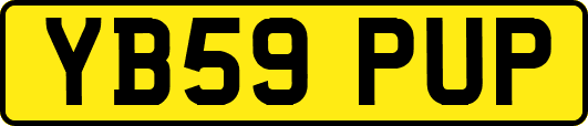 YB59PUP