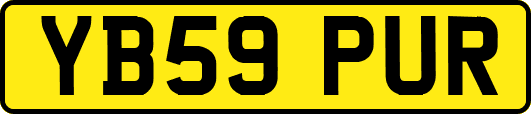 YB59PUR