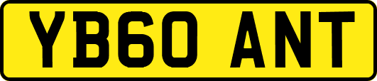 YB60ANT