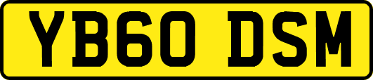YB60DSM