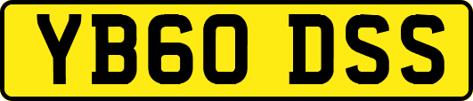 YB60DSS