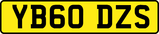 YB60DZS