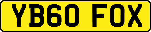 YB60FOX