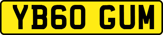 YB60GUM