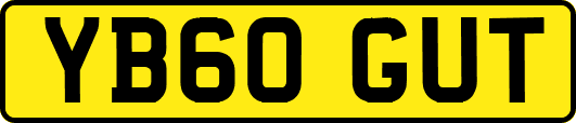 YB60GUT