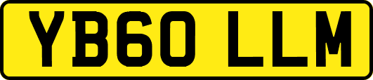 YB60LLM