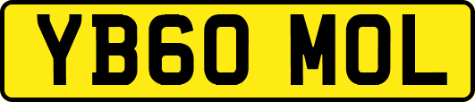 YB60MOL