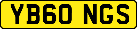 YB60NGS