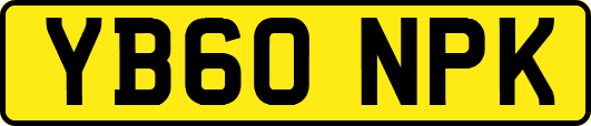 YB60NPK