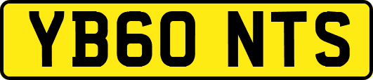 YB60NTS