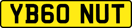 YB60NUT