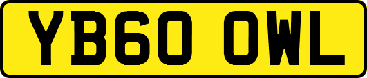 YB60OWL