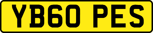 YB60PES