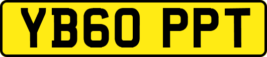 YB60PPT