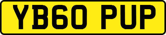 YB60PUP