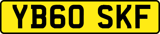 YB60SKF