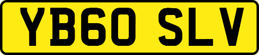 YB60SLV