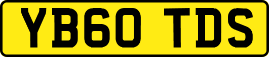 YB60TDS