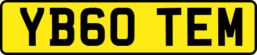 YB60TEM