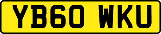 YB60WKU