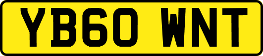 YB60WNT