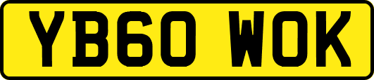YB60WOK