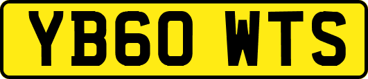 YB60WTS