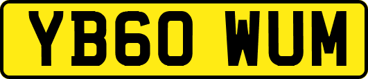 YB60WUM