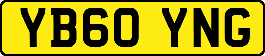 YB60YNG