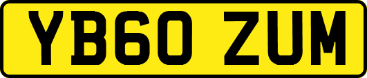 YB60ZUM