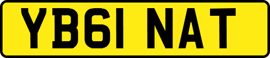 YB61NAT