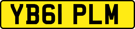 YB61PLM