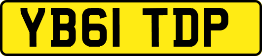 YB61TDP