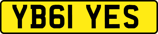 YB61YES