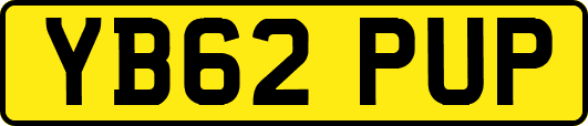 YB62PUP