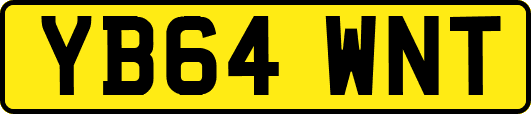 YB64WNT