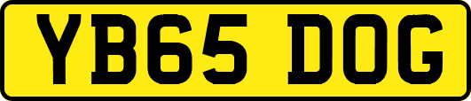 YB65DOG