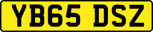 YB65DSZ