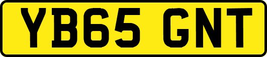 YB65GNT