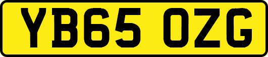 YB65OZG