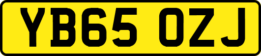 YB65OZJ