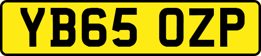 YB65OZP