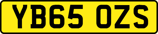 YB65OZS